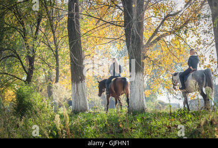 Mädchen auf einem Pferd im herbstlichen Wald Stockfoto