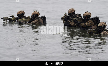 Kampftaucher der Marine / Bundeswehr Studienabschnitte Einer Übung / Einsatz am 5. April 2014 in Eckernförde. Kampftaucher der deutschen Spezifikation Stockfoto