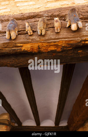 Hände vom Wildschwein (Sus Scrofa) in einem Haus. Mittelalterliche Dorf von Alquezar, Provinz Huesca, Aragon, Spanien. Stockfoto