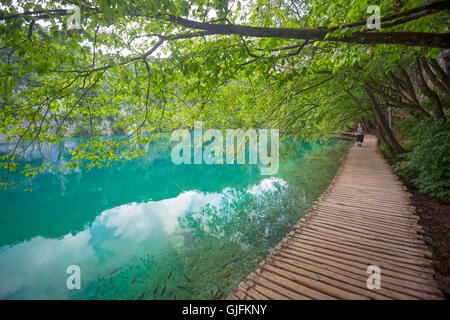 Ein Tourist, ein Spaziergang auf einem hölzernen Pfad entlang des Flusses Korana (Nationalpark Plitvicer Seen Kroatien). Holzsteg. Stockfoto