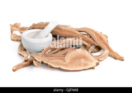 Lingzhi Pilz (auch genannt als Reishi Pilz in Japan, Lingcheu in Thailand, Lingzhi Pilz in China, Ganoderma Luci getrocknet Stockfoto