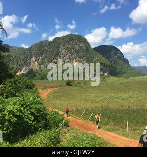 Touristen Fuß entlang eines Landwirts Pfad durch das Tal von Vinales, Kuba 2016. Stockfoto