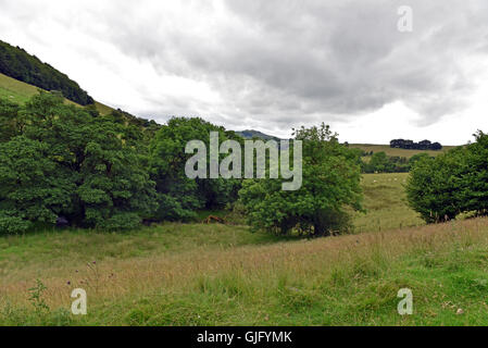 Die sanften Hügel der Pennines, in der Nähe von Kapelle-En-le-Frith in Derbyshire, unter einem grauen Coudy Himmel Stockfoto