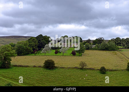 Die sanften Hügel der Pennines, in der Nähe von Kapelle-En-le-Frith in Derbyshire, unter einem grauen Coudy Himmel Stockfoto