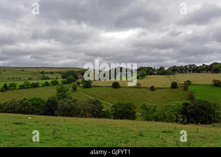 Die sanften Hügel der Pennines, in der Nähe von Kapelle-En-le-Frith in Derbyshire, unter einem grauen Coudy Himmel Stockfoto