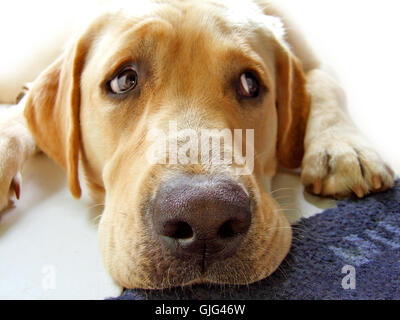 Was nun? Stockfoto