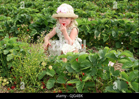 im Erdbeerfeld Stockfoto