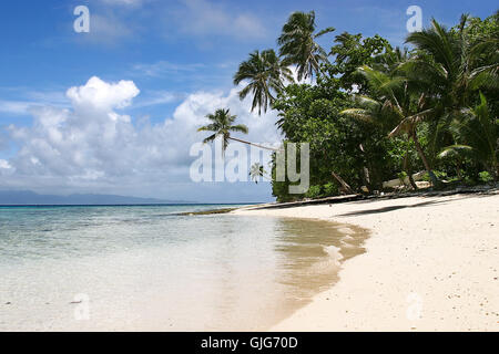 einsamen weißen Strand mit Palmen Stockfoto