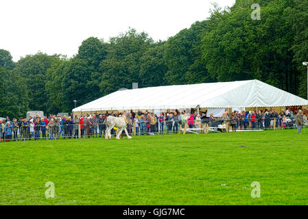 Baden-Baden-Show 2016 Stockfoto