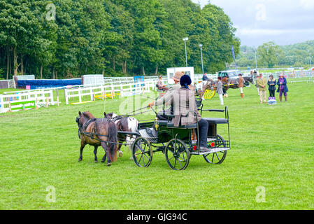 Baden-Baden-Show 2016 Stockfoto
