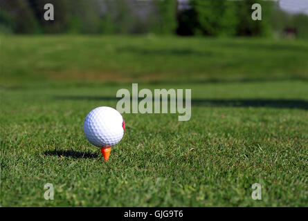 Tee Zeit kostenlose Freizeit Stockfoto