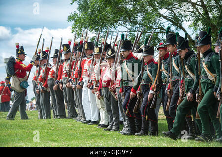 Coldstream Regiment of Foot Guards und 95. Gewehre auf dem Schlachtfeld der napoleonischen Kriege Reenactment. Spetchley Park, England Stockfoto