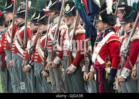 Coldstream Regiment of Foot Guards auf dem Schlachtfeld der napoleonischen Kriege Reenactment im Spetchley Park, Worcestershire, England Stockfoto