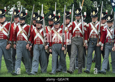 Coldstream Regiment of Foot Guards auf dem Schlachtfeld der napoleonischen Kriege Reenactment im Spetchley Park, Worcestershire, England Stockfoto