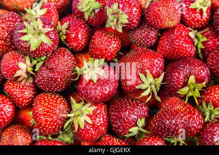 Hintergrund von frisch Erdbeeren Stockfoto