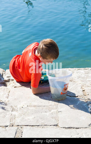 Poole, Dorset, UK. 16. August 2016. UK-Wetter: Kinder gehen in Poole Quay an einem heißen sonnigen Tag mit ununterbrochenen Sonnenschein Credit Verdrehungen: Carolyn Jenkins/Alamy Live News Stockfoto