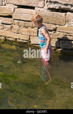 Poole, Dorset, UK. 16. August 2016. UK-Wetter: Junge im Wasser bei Poole Quay an einem heißen sonnigen Tag mit ununterbrochenen Sonnenschein Credit: Carolyn Jenkins/Alamy Live News Stockfoto