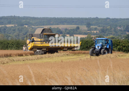 Bulphan, Essex, England. 17. August 2016. UK-Wetter: Machen Sie hey während die Sonne scheint. Erntezeit in Bulphan Essex UK. 17. August 2016 Kredit: MARTIN DALTON/Alamy Live-Nachrichten Stockfoto