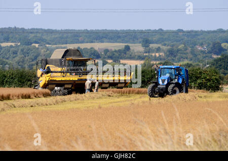 Bulphan, Essex, England. 17. August 2016. UK-Wetter: Machen Sie hey während die Sonne scheint. Erntezeit in Bulphan Essex UK. 17. August 2016 Kredit: MARTIN DALTON/Alamy Live-Nachrichten Stockfoto