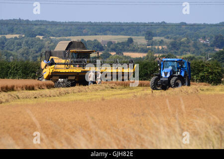 Bulphan, Essex, England. 17. August 2016. UK-Wetter: Machen Sie hey während die Sonne scheint. Erntezeit in Bulphan Essex UK. 17. August 2016 Kredit: MARTIN DALTON/Alamy Live-Nachrichten Stockfoto