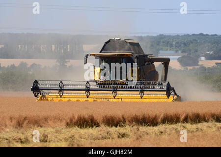 Bulphan, Essex, England. 17. August 2016. UK-Wetter: Machen Sie hey während die Sonne scheint. Erntezeit in Bulphan Essex UK. 17. August 2016 Kredit: MARTIN DALTON/Alamy Live-Nachrichten Stockfoto