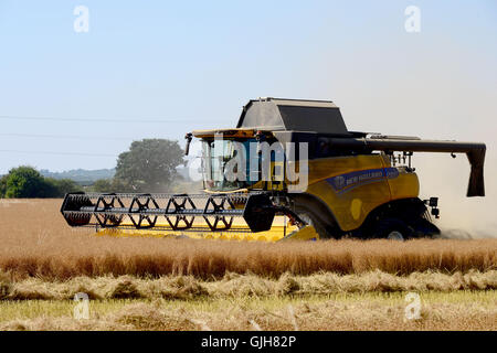 Bulphan, Essex, England. 17. August 2016. UK-Wetter: Machen Sie hey während die Sonne scheint. Erntezeit in Bulphan Essex UK. 17. August 2016 Kredit: MARTIN DALTON/Alamy Live-Nachrichten Stockfoto