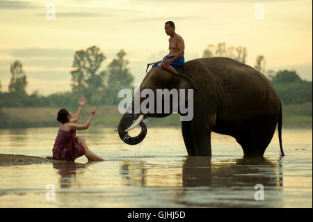 Mann und Frau Baden im Fluss mit Elefant, Surin, thailand Stockfoto