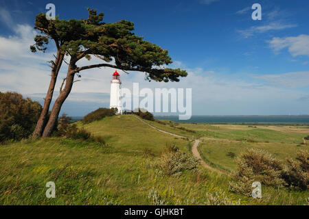 Leuchtturm auf dem Dornbusch bei sturm Stockfoto