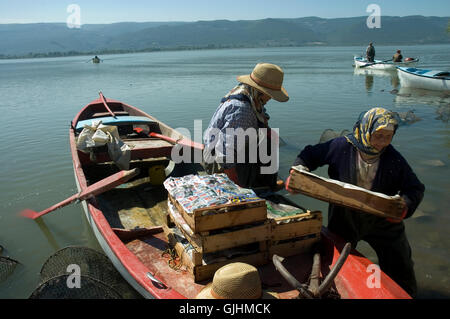 Fischerinnen zurück vom Fischfang im Uluabat See zum Golyazı Dorf in der Provinz Bursa. Stockfoto