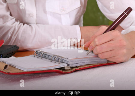 Notizen im Tagebuch Stockfoto
