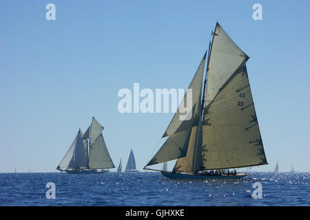 Les Voiles de St.Tropez Stockfoto