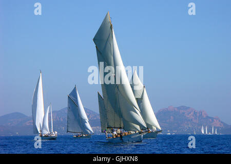 Les Voiles de St.Tropez Stockfoto