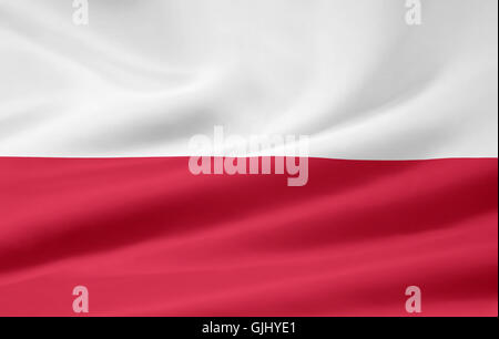 polnische Flagge Stockfoto