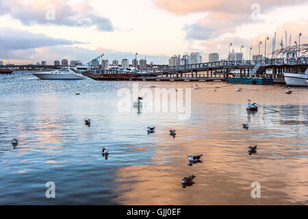 Yachten und Boote, Punta del Este, Uruguay Stockfoto