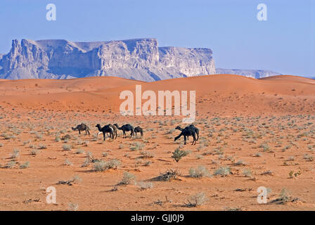 Roter Sand, Saudi Arabien Stockfoto