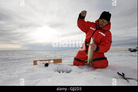 Fisch kalt Katarrh Stockfoto