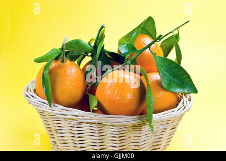 Orangen essen Nahrungsmittel Stockfoto