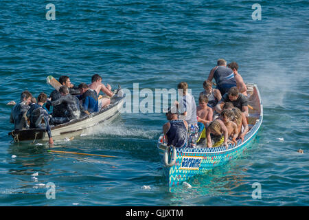 Appledore & Instow Regatta Stockfoto