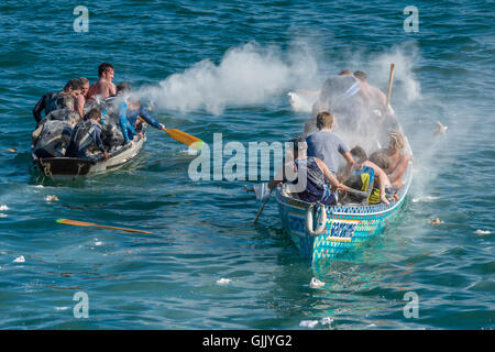 Appledore & Instow Regatta Stockfoto