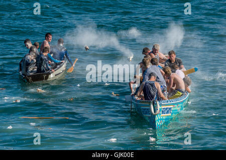 Appledore & Instow Regatta Stockfoto