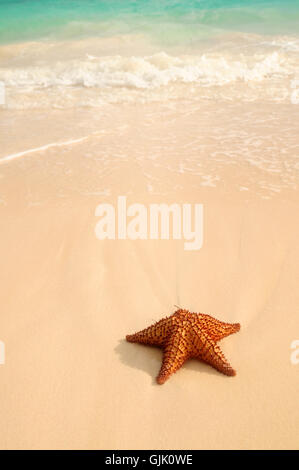 Strand Meer Strand Stockfoto