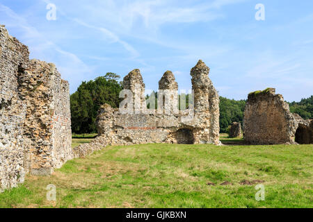 Ruinen von Waverley Abtei, gegründet im Jahre 1128, die ersten Zisterzienser-Abtei in England, eine geplante Ancient Monument in der Nähe von Farnham Stockfoto