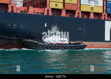 AMNAV Traktorschlepper Führung der riesigen Mediterranean Shipping Company Containerschiff, MSC Elodie zu Ihrem Liegeplatz im Hafen von Long Beach, Kalifornien, USA. Stockfoto