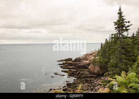 Acadia National Park-Blick vom Park Loop fahren. Stockfoto