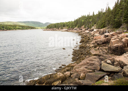 Acadia National Park-Blick vom Park Loop fahren. Stockfoto