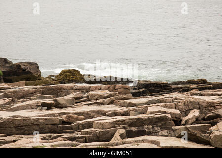 Acadia National Park-Blick vom Park Loop fahren. Stockfoto