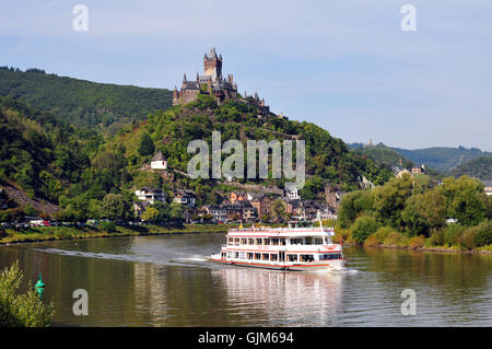 Baum Bäume mosel Stockfoto