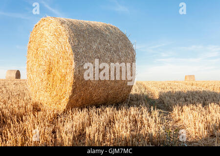 Runde Heuballen im Sommer. Oxfordshire, England, GB, UK. Stockfoto