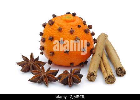 Mandarinen Nelken - Mandarinen-Nelke 03 Stockfoto