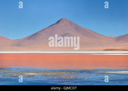 Vulkan in Laguna colorada Stockfoto